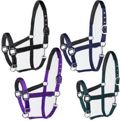 Millstone Neoprene Non-Breakaway Halter