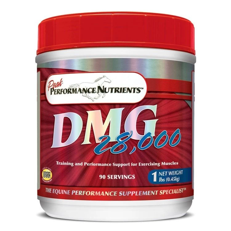 Peak Performance DMG 28K 1#