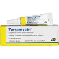 Durvet Terramycin Ophthalmic Ointment