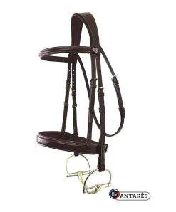 Antares Signature Fancy Hunter Bridle