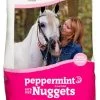 Manna Pro® Peppermint Bite-Size Nuggets