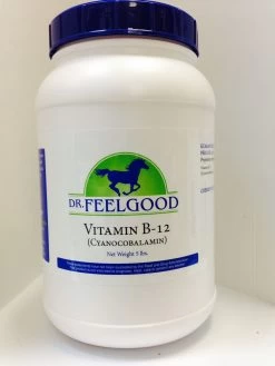 NEW! Dr. FeelGood Vitamin B12 5lb.