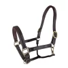 RHC Padded Leather Halter With Fancy Stitching