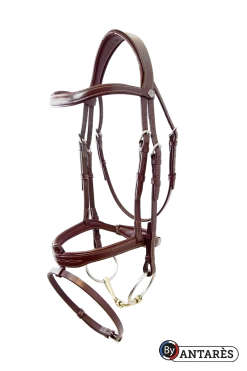 Antares Signature Flash Bridle
