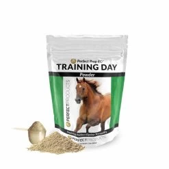 Perfect Prep EQ Training Day™