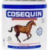 Cosequin 700gm